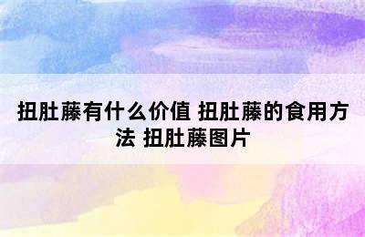 扭肚藤有什么价值 扭肚藤的食用方法 扭肚藤图片